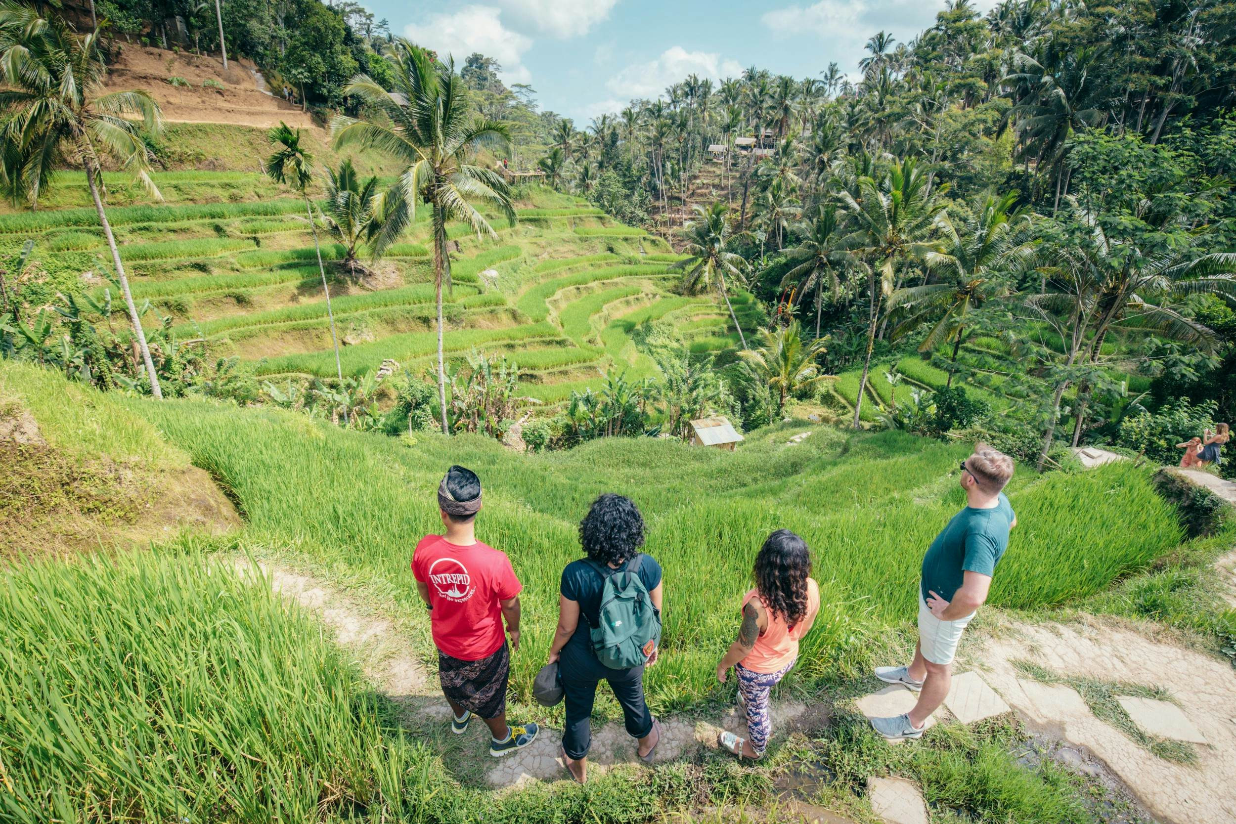 A family marvels at the intricate rice terraces of Sapa, enjoying a guided trek through the Vietnamese countryside