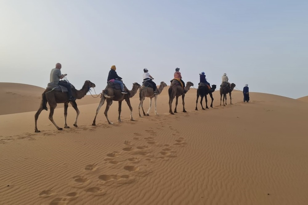 Travelers riding camels in the Sahara Desert, Morocco, during sunset.