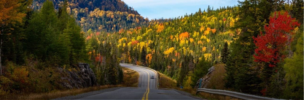 A winding road leads through a scenic forest with trees displaying vibrant autumn colors of red, orange, and yellow. The sky is clear, and the path is surrounded by lush green hills and rocky outcrops.