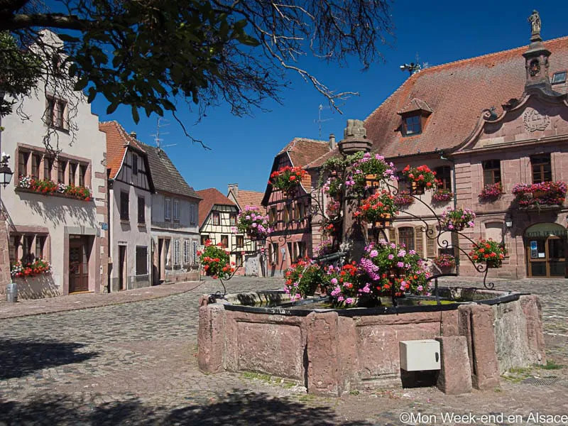 Vineyards in Bergheim along the Alsace Wine Route