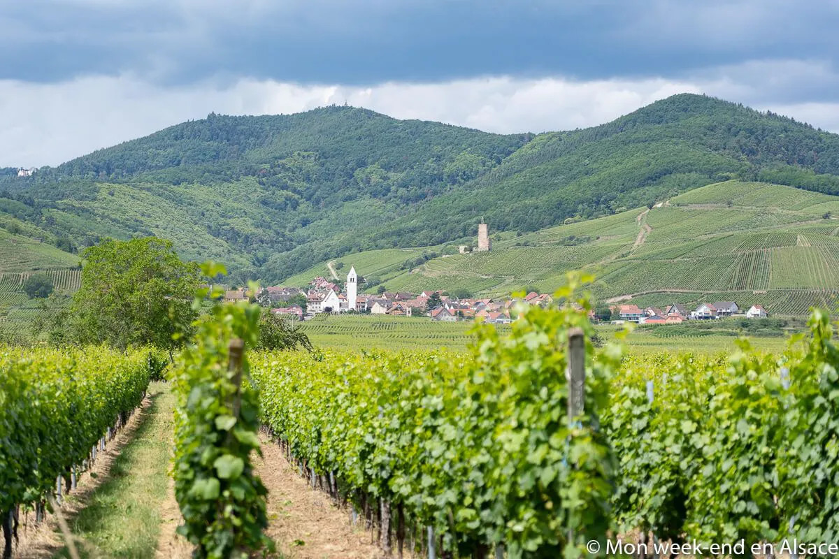 scenic view of the Alsace wine route