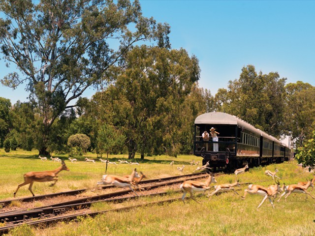 Rovos Rail train trip through the African wilderness, offering a luxurious rail journey from Pretoria to Victoria Falls Zimbabwe.