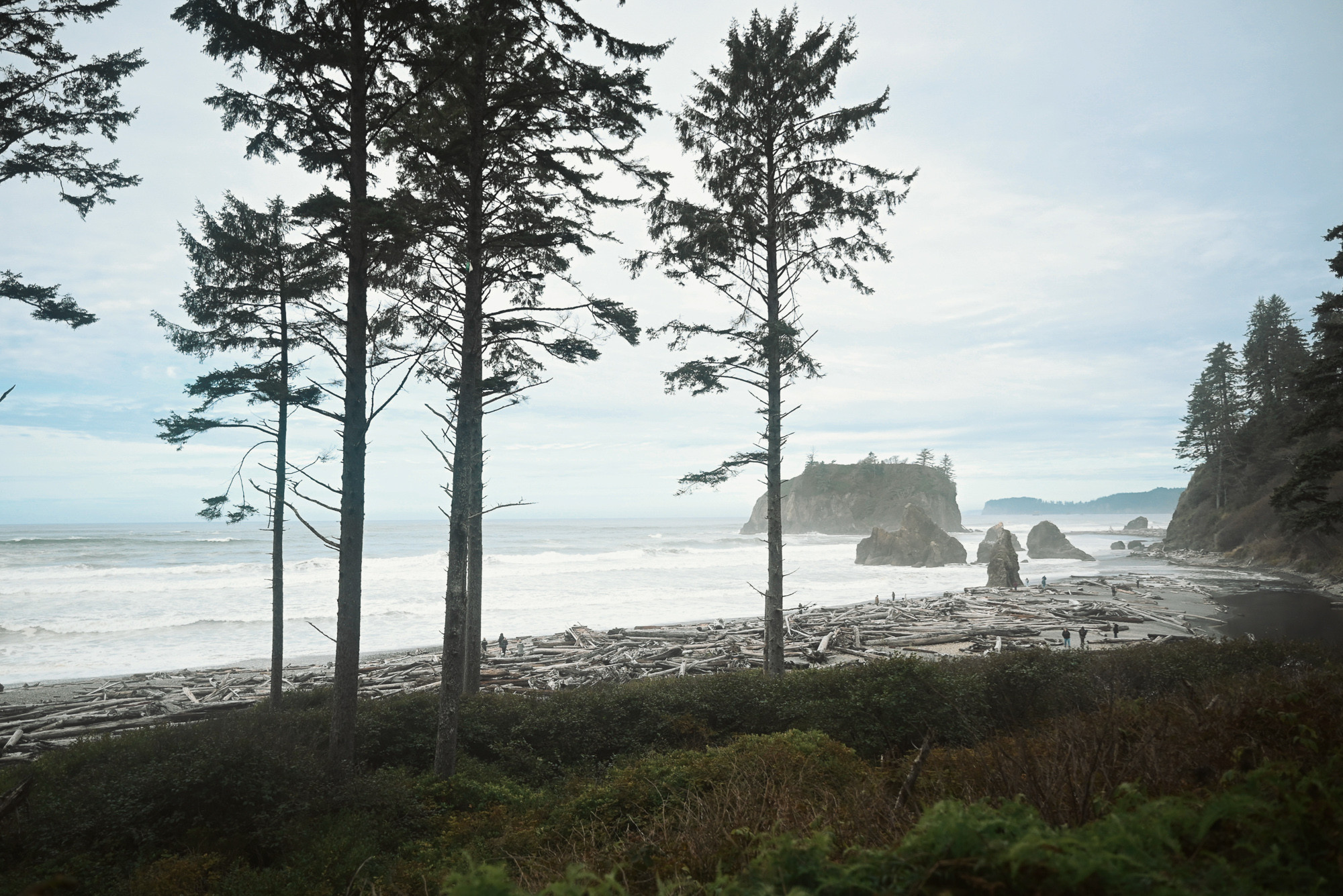 Ruby Beach Forks Washington