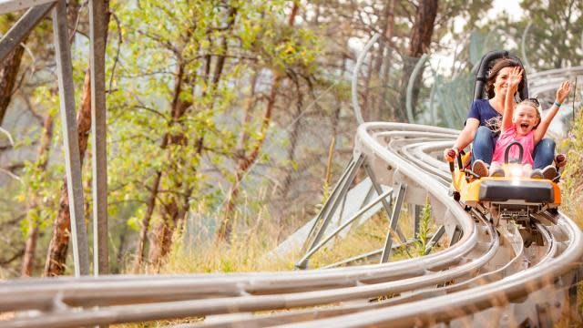 A scenic overlook in the Black Hills, showcasing the natural beauty of the region
