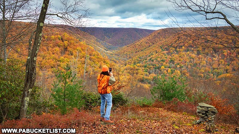 Autumn foliage in Elk County, PA, showcasing the vibrant colors of the fall season and the optimal time for scenic drives and elk viewing.