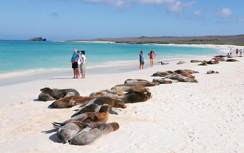Galapagos Islands Safe Travel