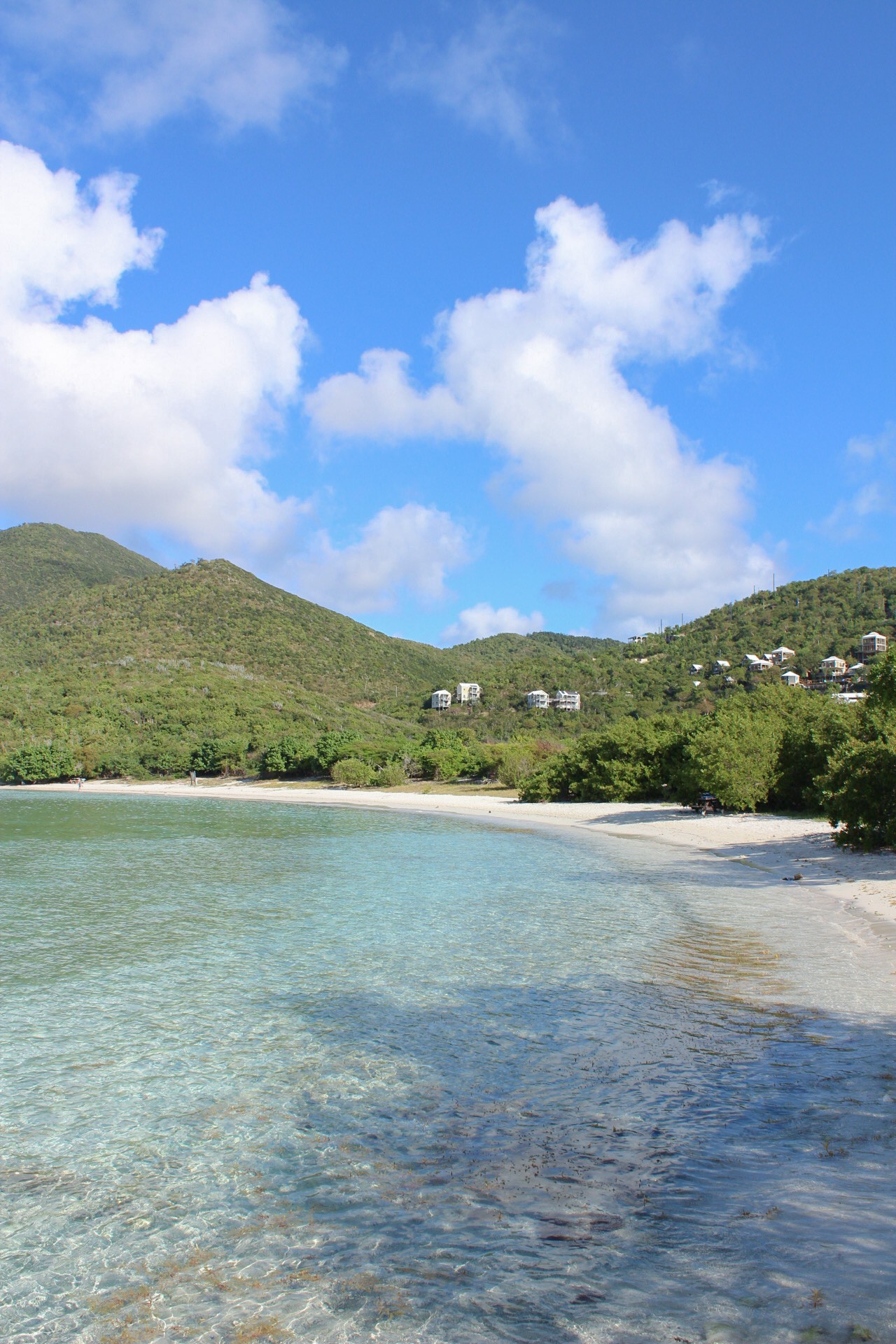 Salt pond St. John USVI.