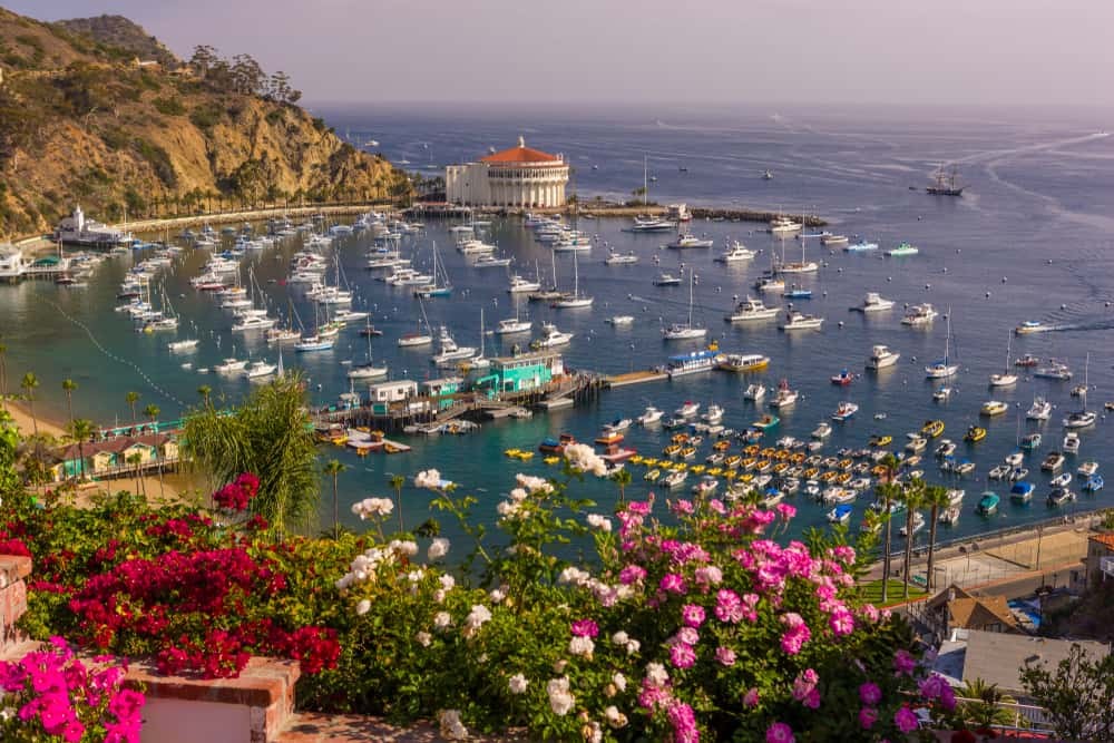 Harbor view Santa Catalina Island, California