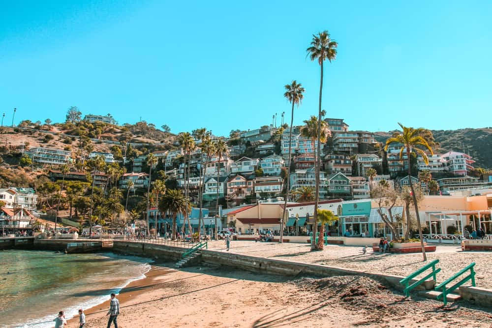 Santa Catalina Island Coastline