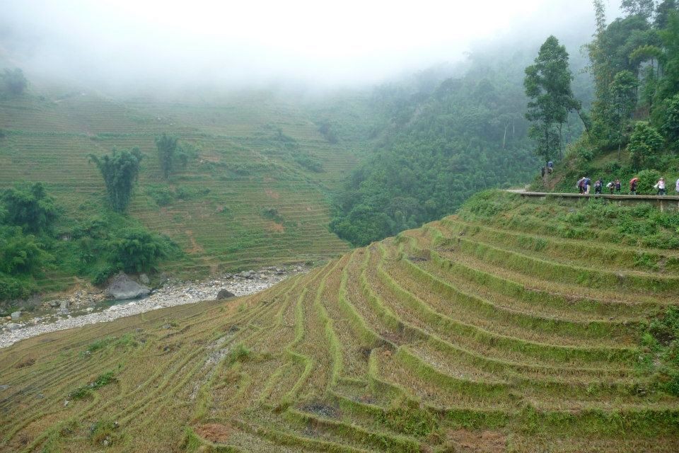 Terraced rice paddies in Sapa