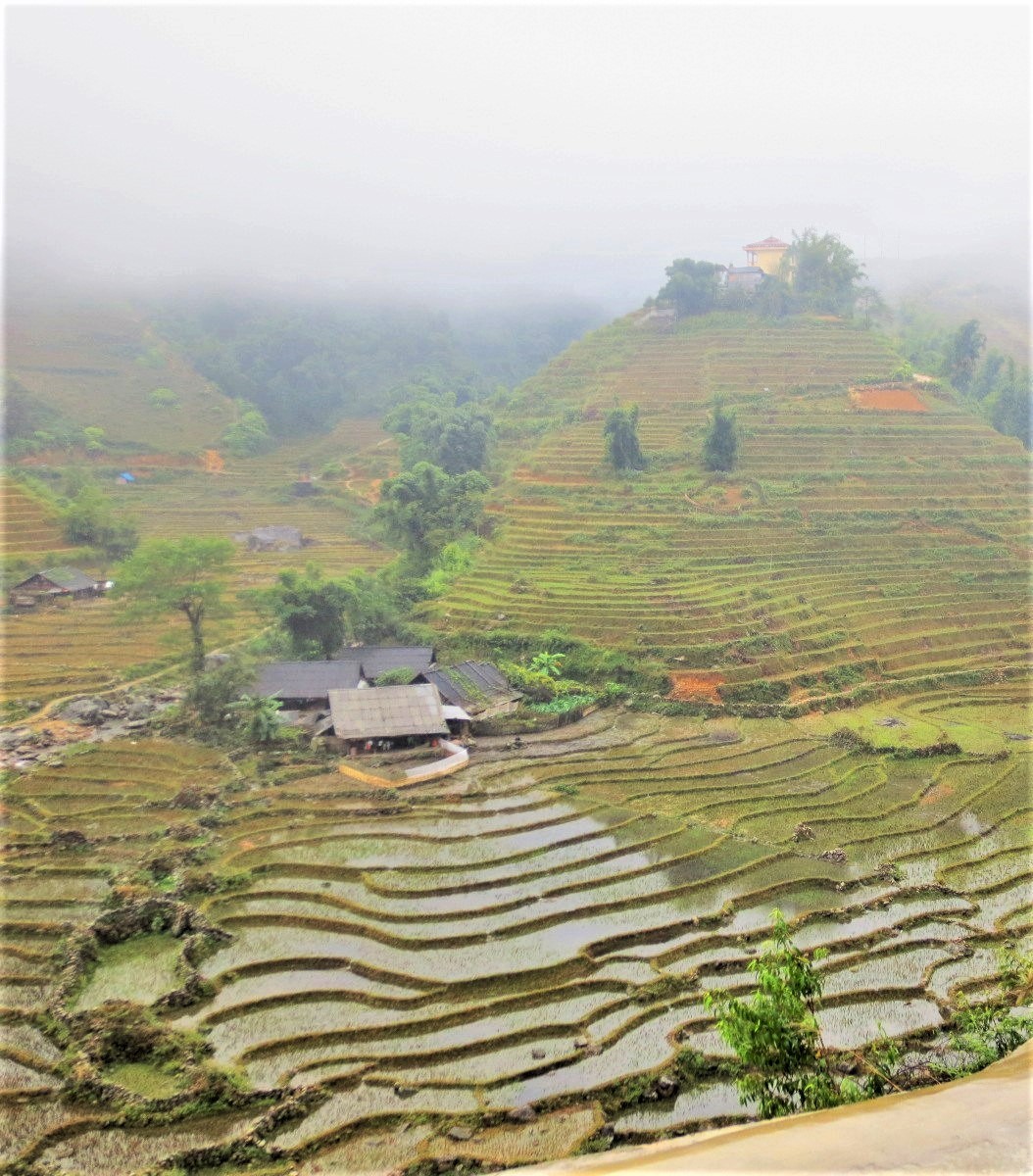 Scenic rice terraces