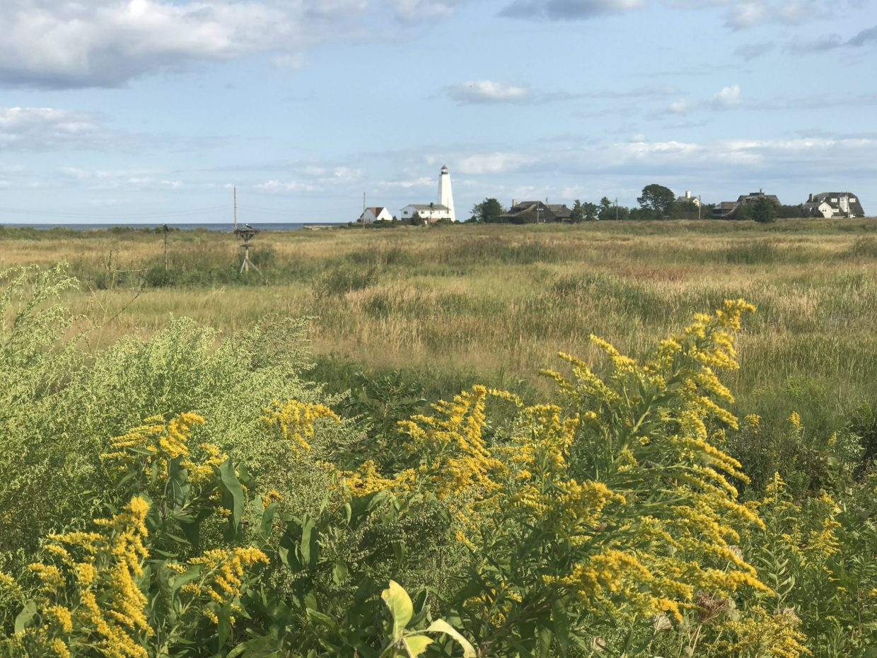Old Saybrook, Connecticut has many shades, from the affluent suburbs of NYC to the rural treed areas of the Eastern state; Connecticut is the inspiration of the Gilmore Girls’ Star’s Hallow