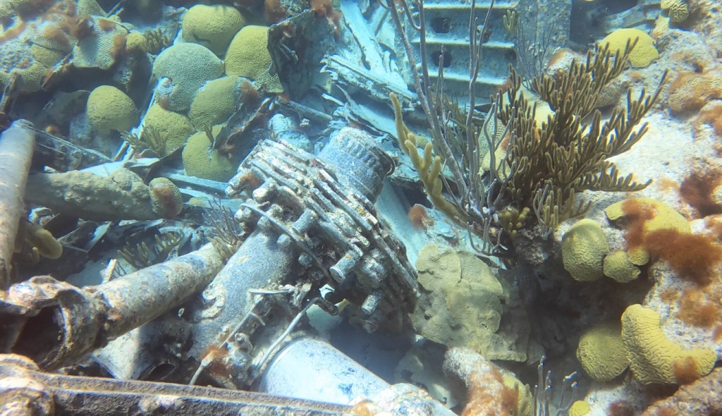 Scuba Diving in Bermuda
