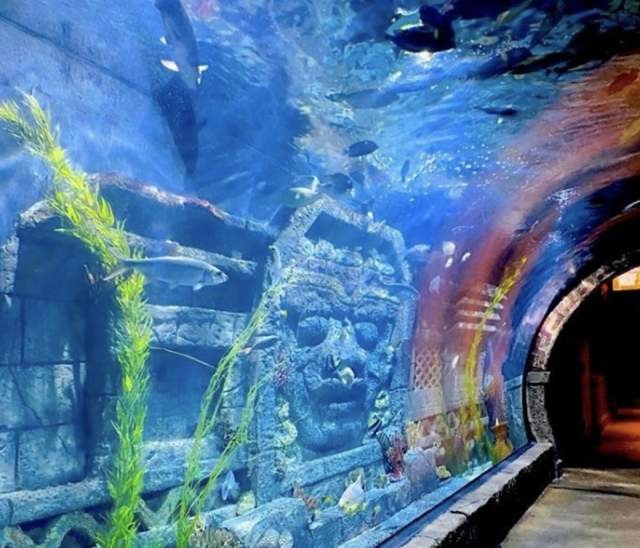 An exterior view of Aquarium Houston, Alt Text Aquarium Houston Animal Encounters