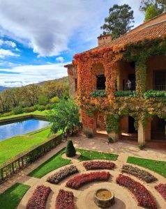 Aqua et Oleum, a boutique hotel surrounded by olive groves