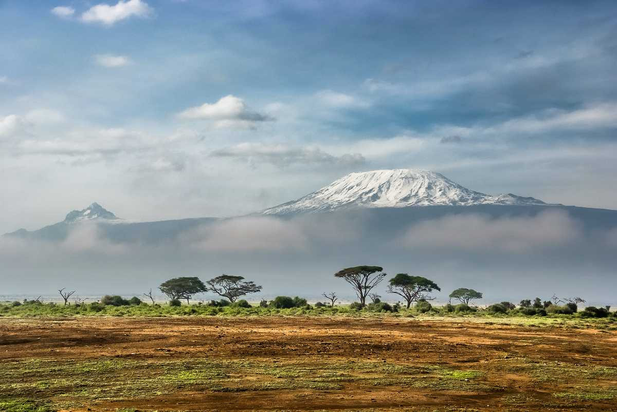 Kenya prime wildlife experiences