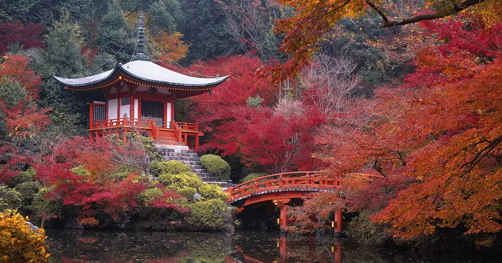 Kyoto Japan Exquisite Wooden Temples