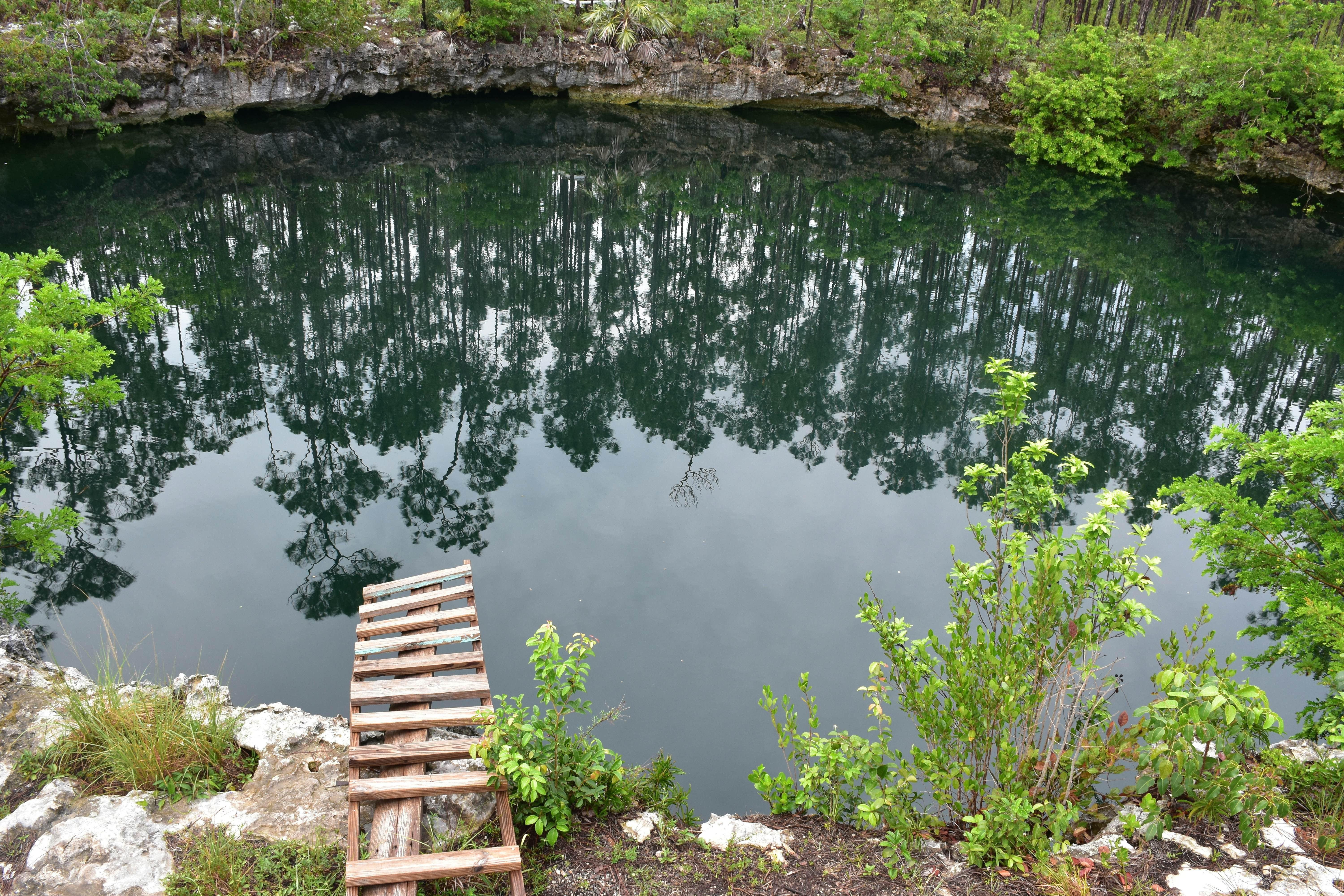 A rickety wooden gangway leads to the water at Uncle Charlie