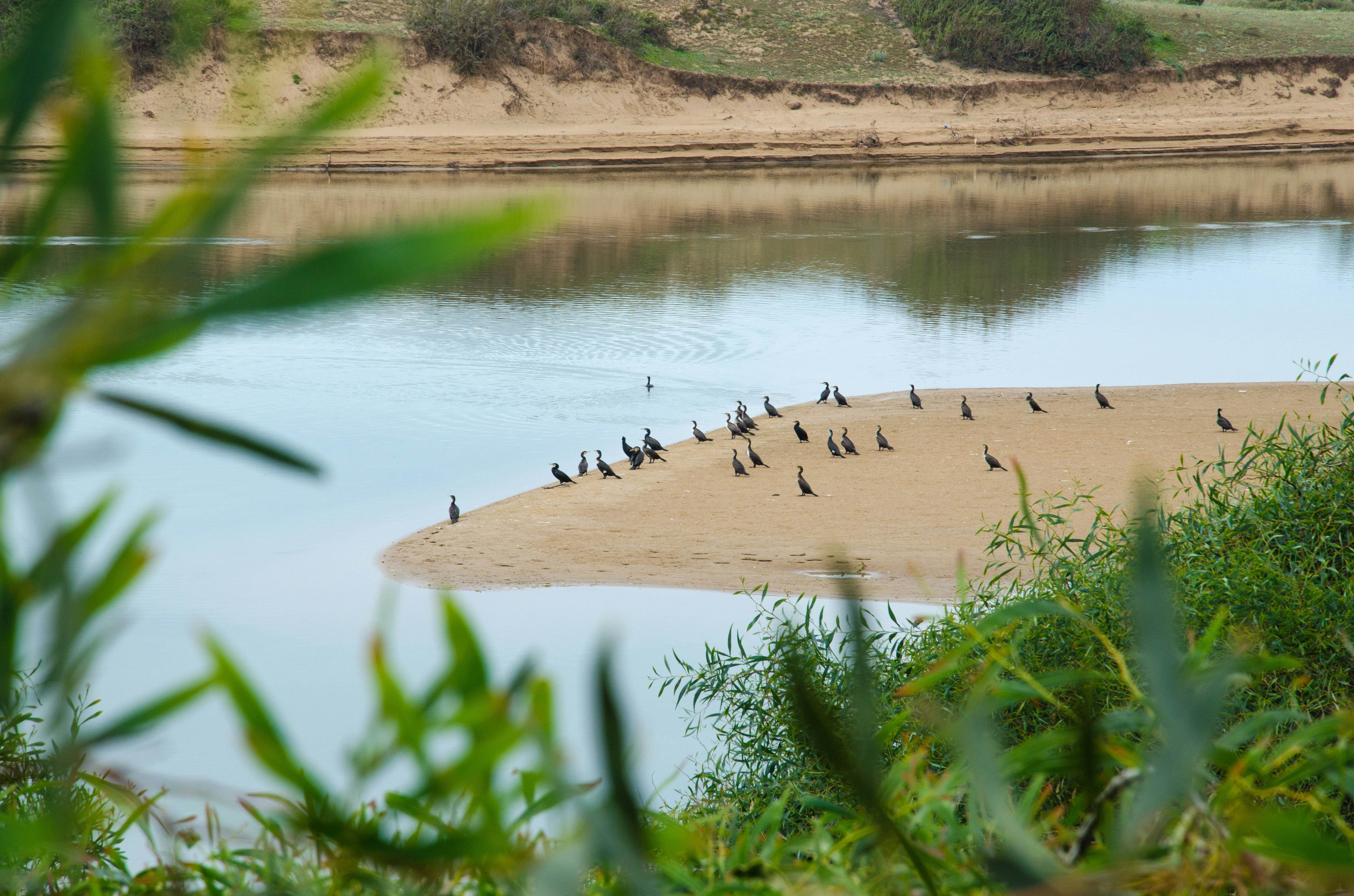 Souss-Massa National Park landscape in Morocco