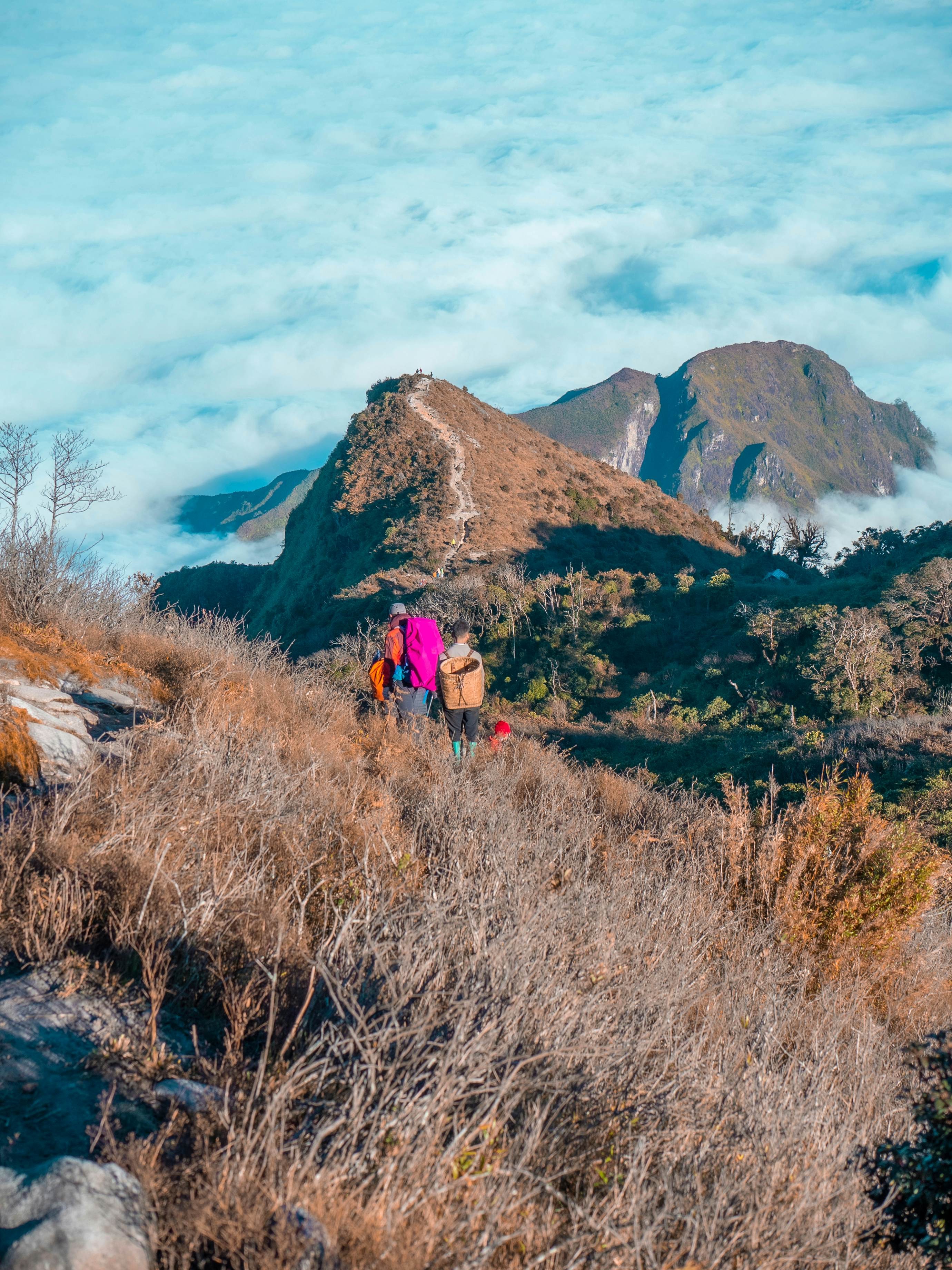 People walk through an area covered with bare branches, heading toward mountain peaks around Sapa, Vietnam