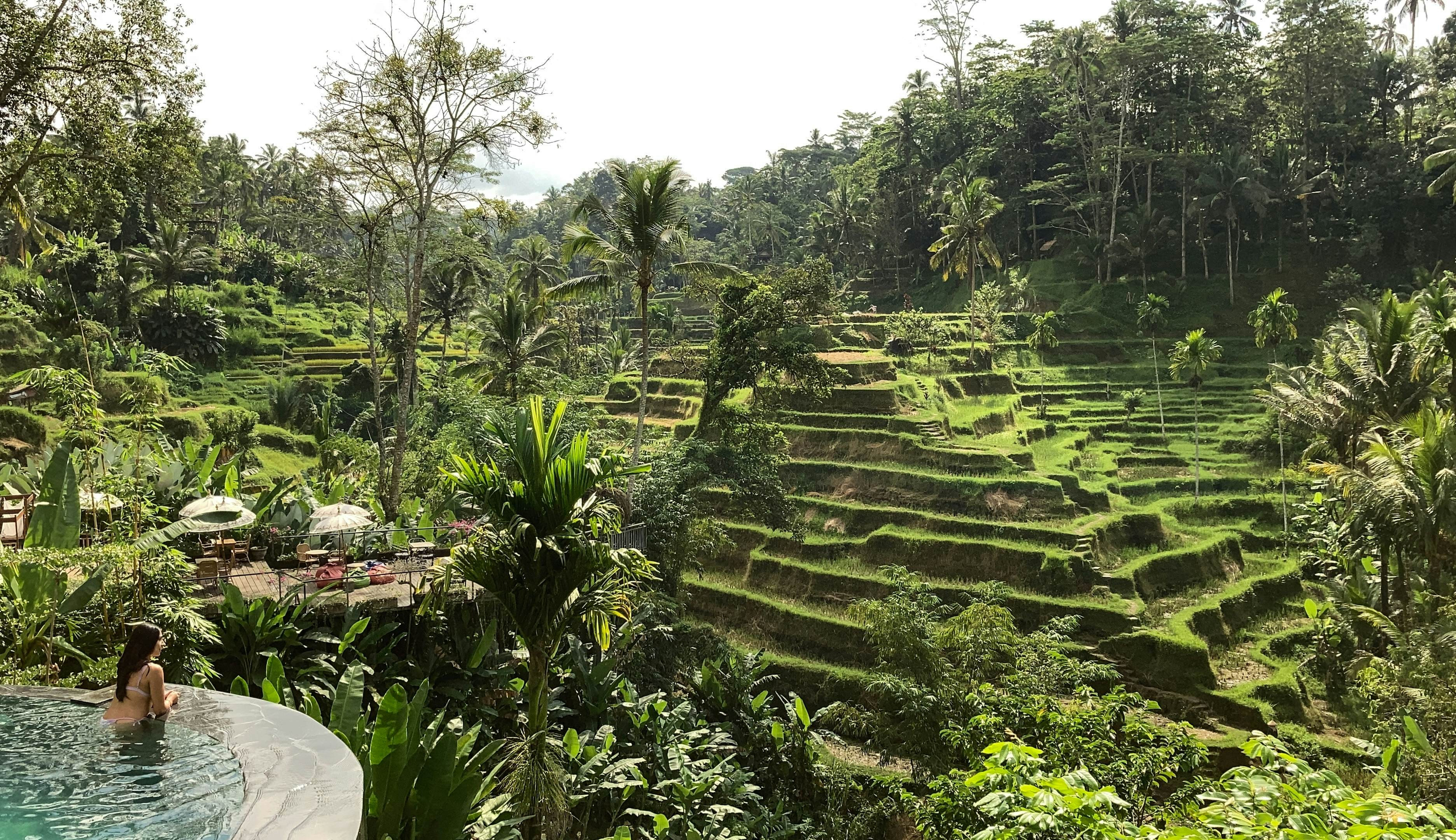 A girl swims in the pool near the rice terrace in Ubud