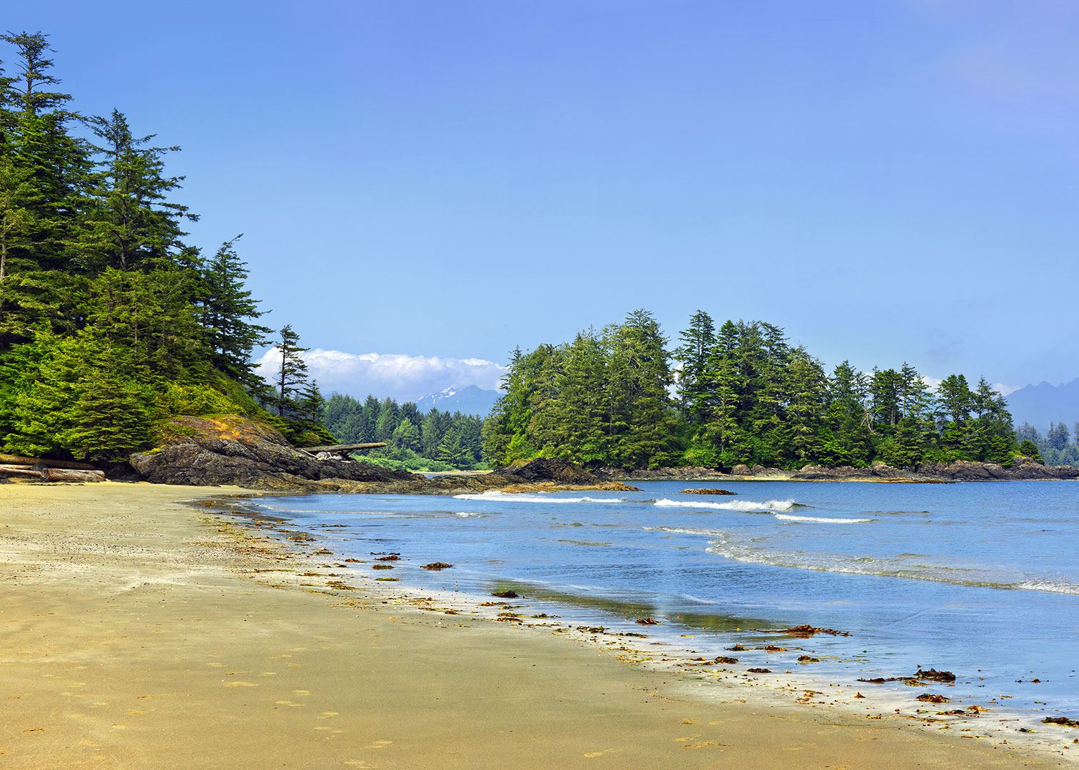 Long Beach, Tofino