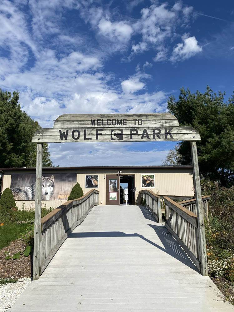 Wolf Park Lafayette providing a sanctuary for wolves with public tours.