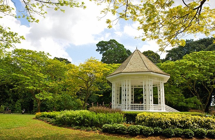 Lush greenery at Singapore Botanic Gardens
