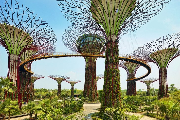 Gardens by the Bay at twilight, Singapore