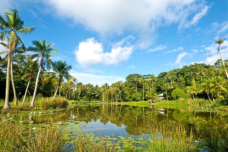 Pulau Ubin showcasing rustic charm and natural beauty