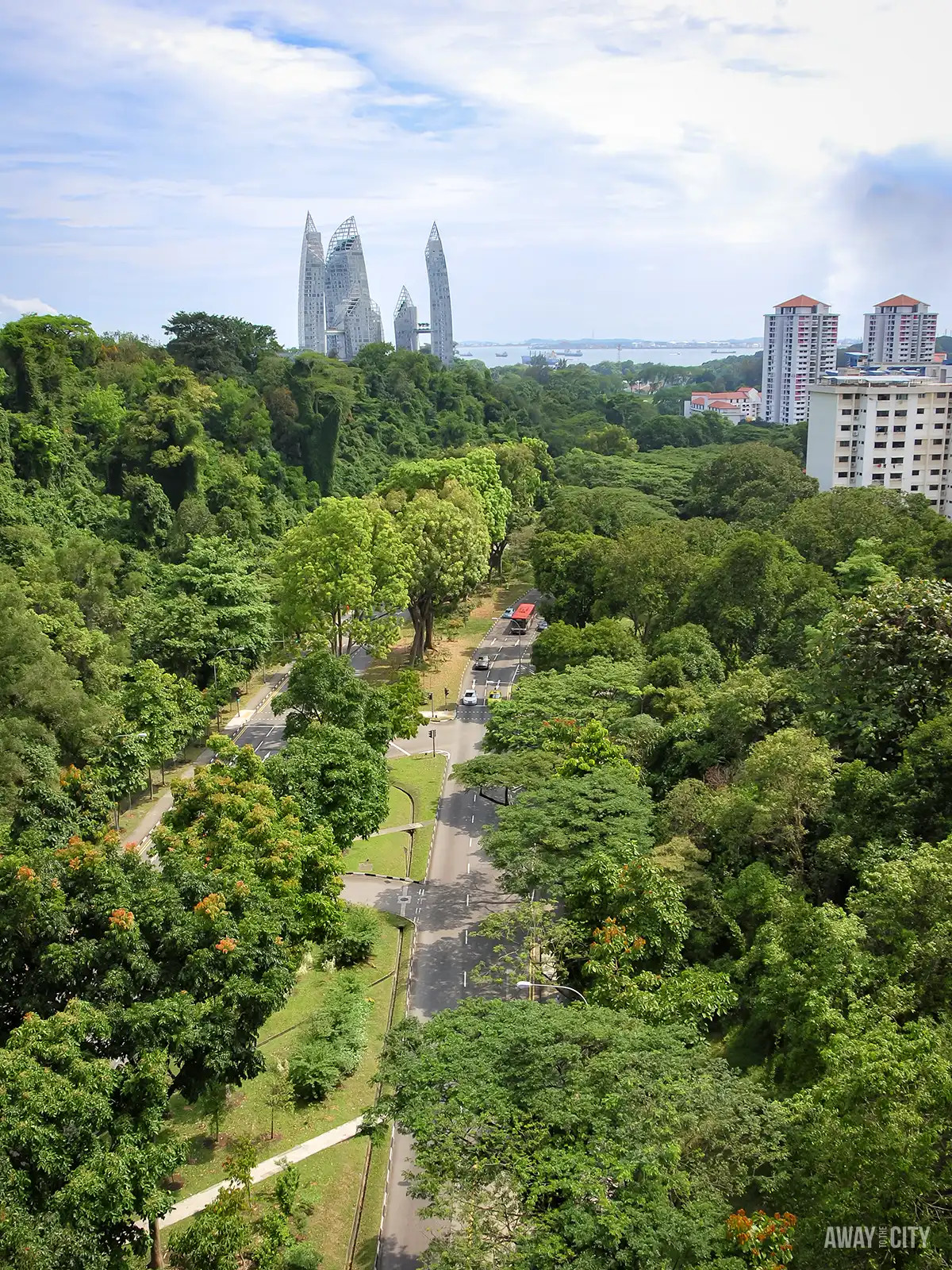 Hikers traverse the Henderson Waves bridge, part of Singapore's Southern Ridges, amidst lush greenery.