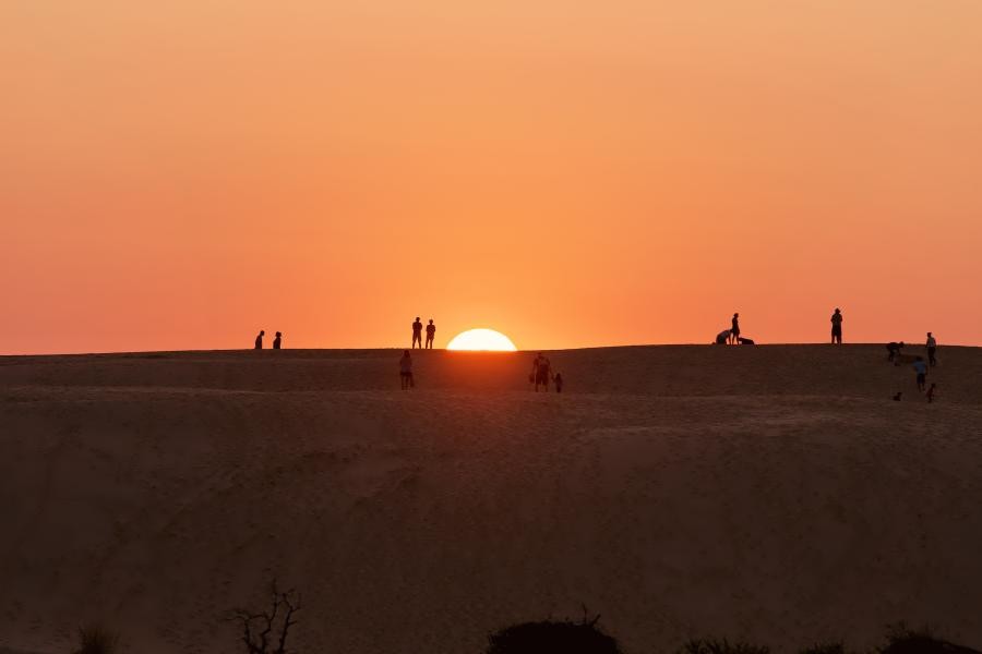 Jockey Ridge State Park