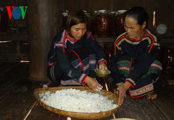 Ede women prepare rice to make "Ruou can" Traditional Rice Wine preparation among the Ede ethnic group