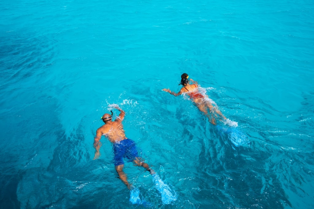 snorkeling in the Caribbean