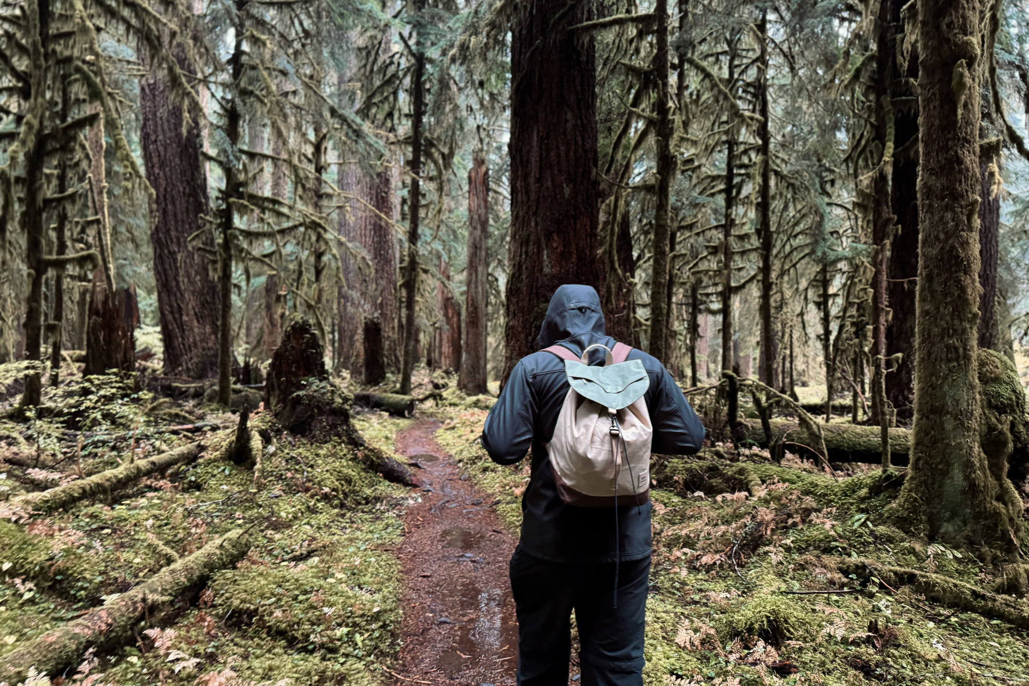 Sol Duc Falls and Hot Springs Travel Guide