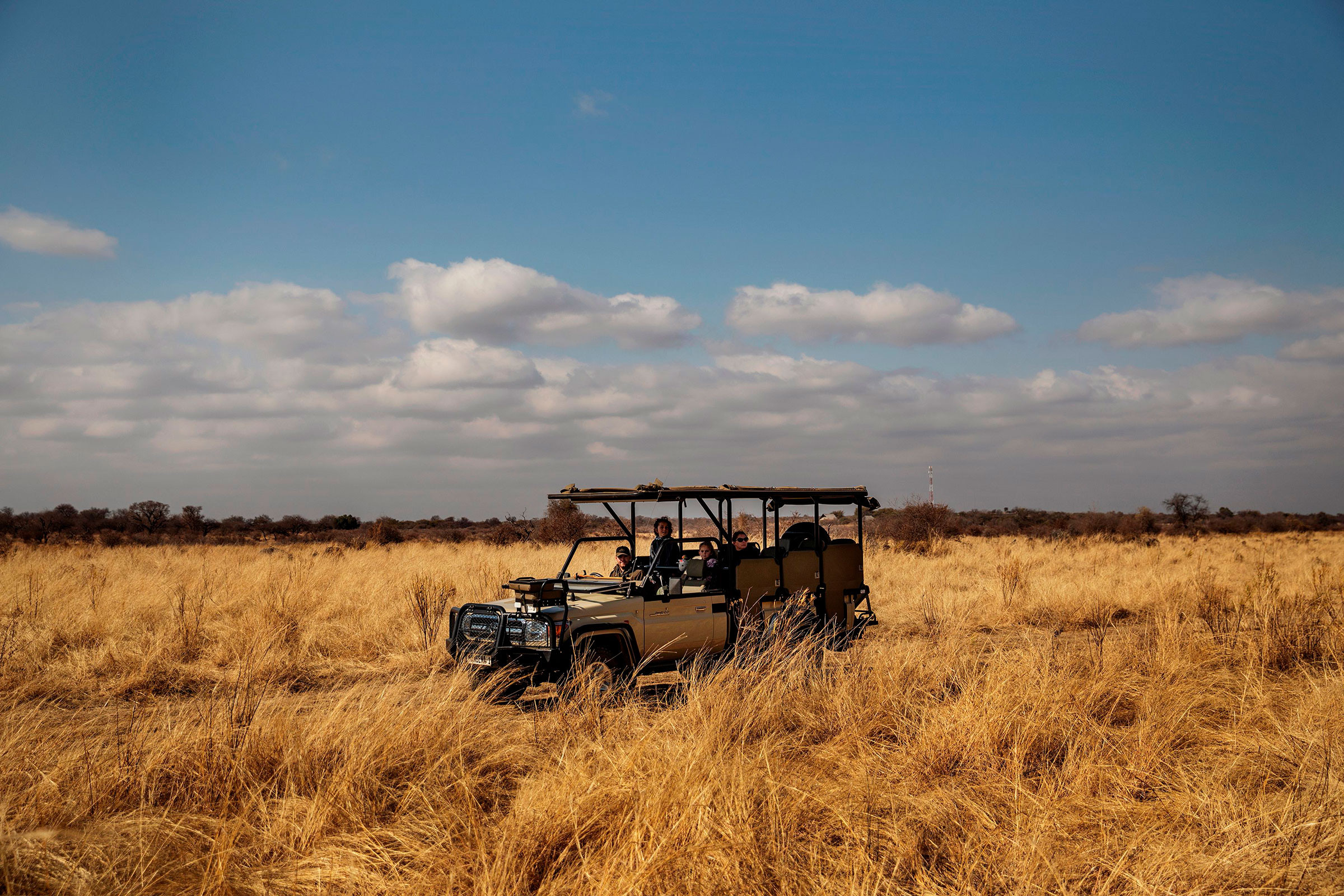 Tourists on Safari