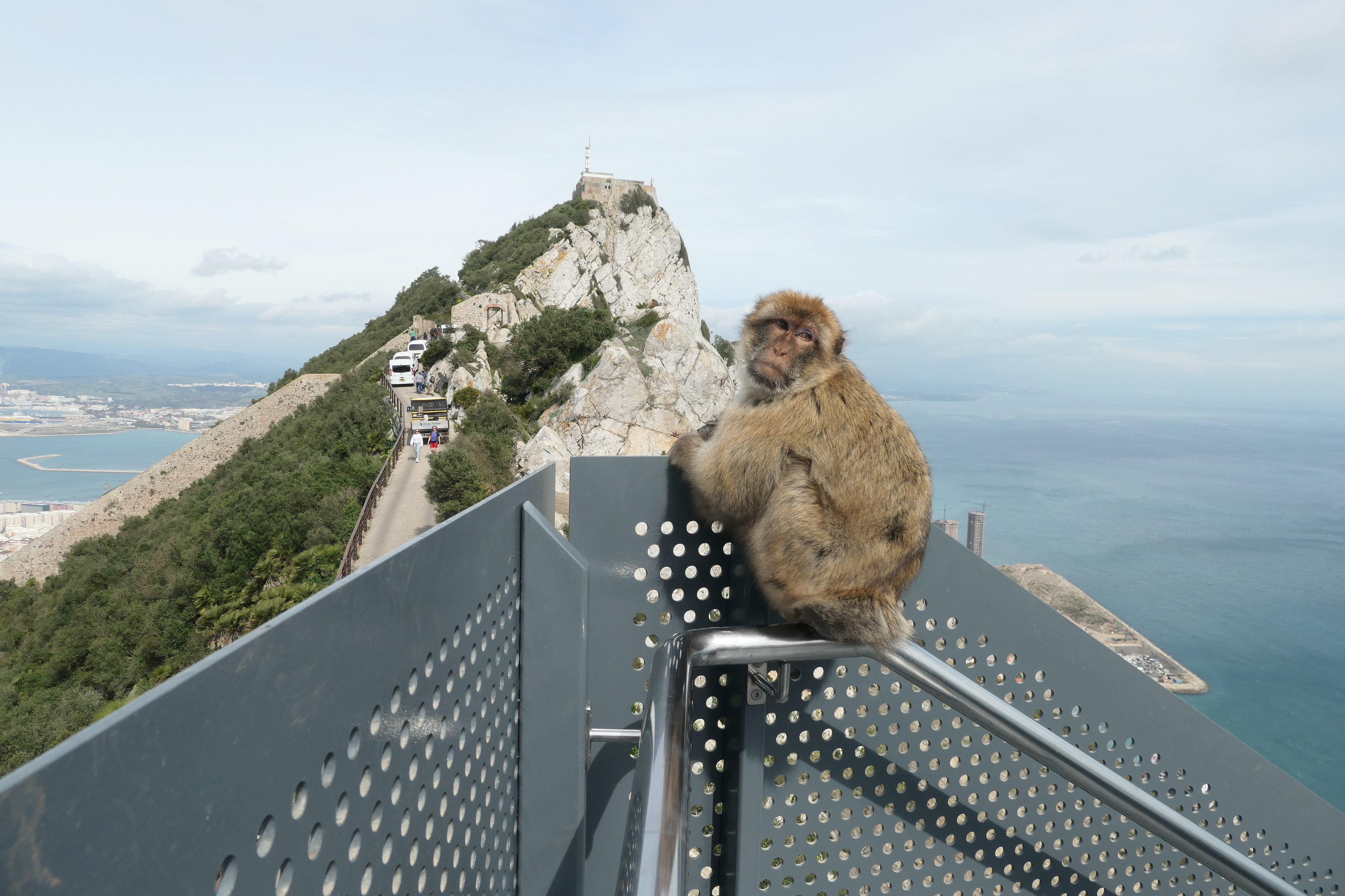 View from the top of the Rock of Gibraltar