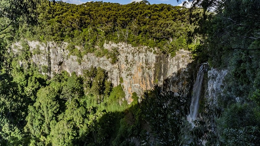 Springbrook National Park scenery on the Gold Coast