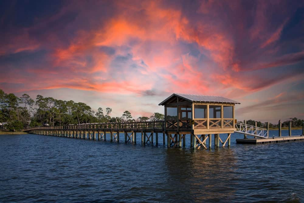 Coastal scene of St Simons Island with ocean and palm trees