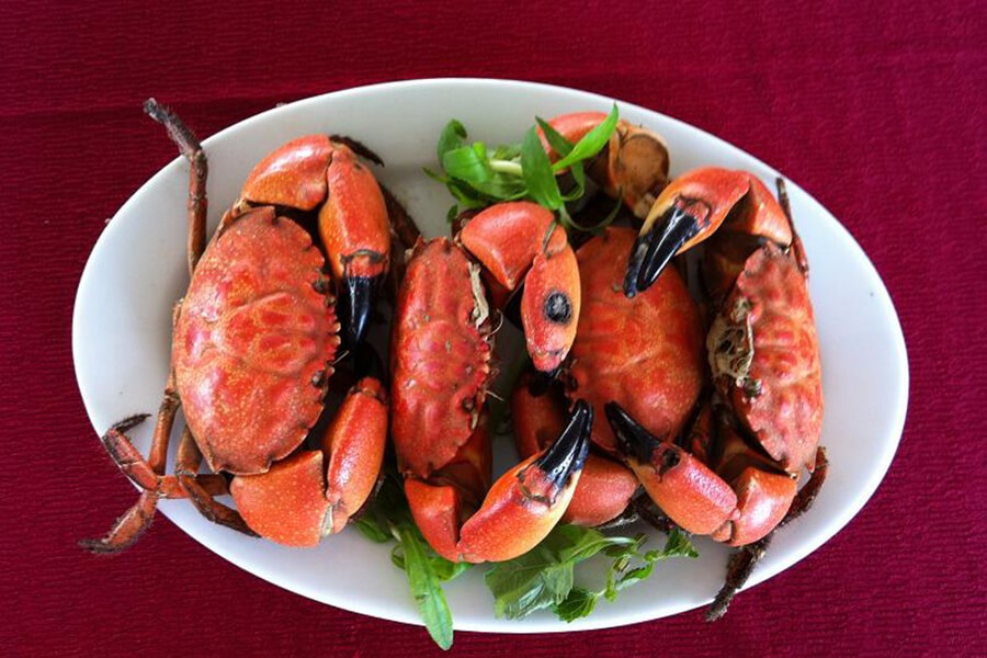 Stone Crab (Cu Ky), a tasty and affordable crab specialty in Ha Long Bay, steamed with beer or cooked with tamarind