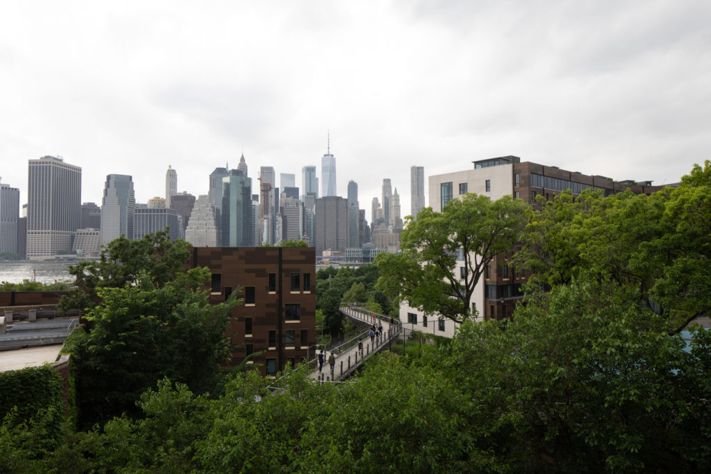 A scenic path leading to Brooklyn Bridge Park presents a refreshing escape in the urban landscape, inviting both locals and tourists