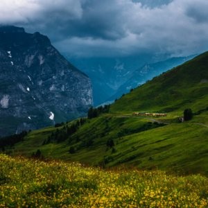 Train from Wengen to Kleine Scheidegg