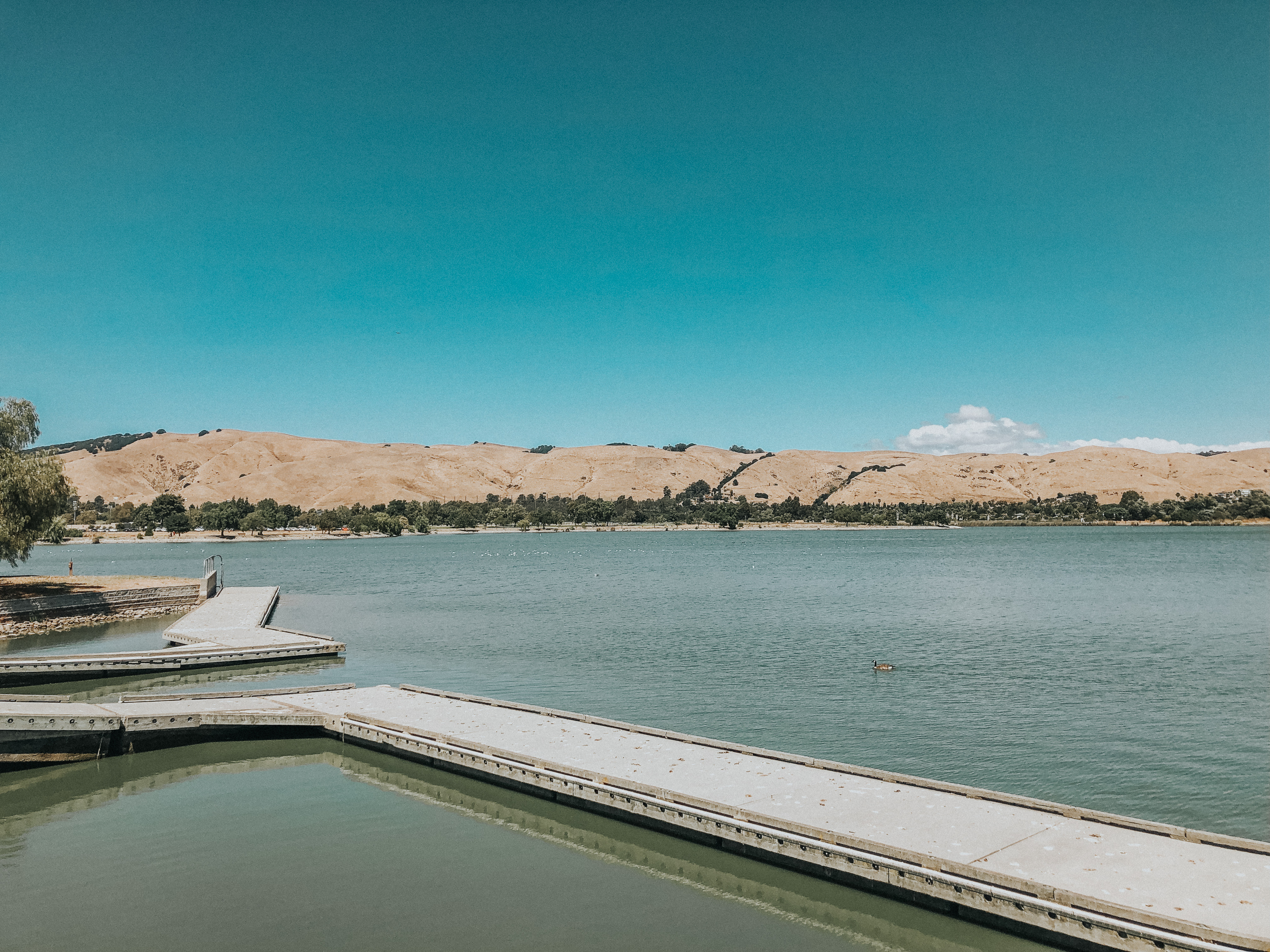 Central Park, Fremont