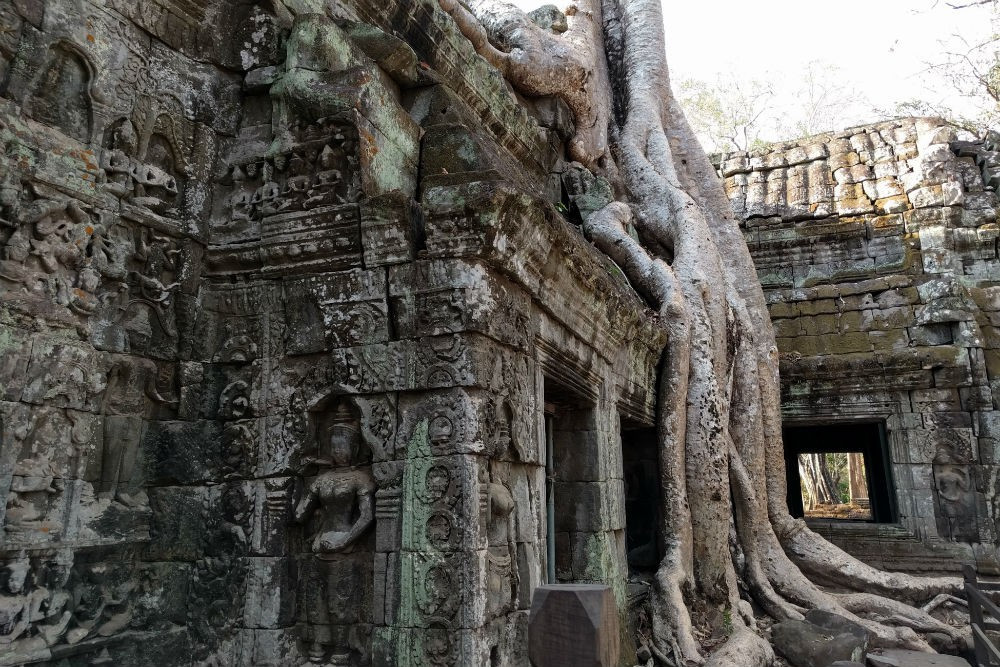 Ta Prohm temple Angkor Wat Cambodia Billie Cohen