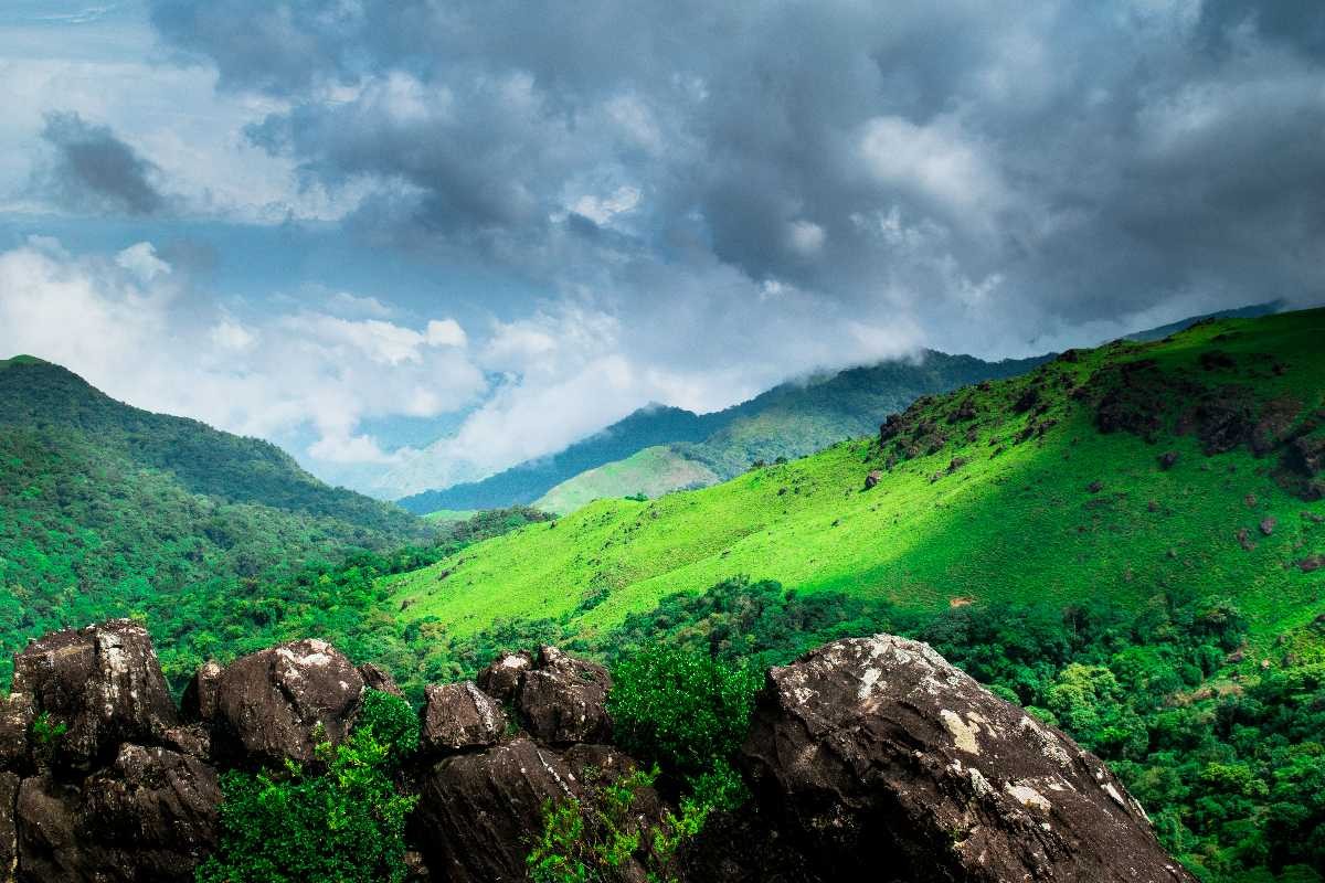 Rolling hills and tea plantations in Coorg