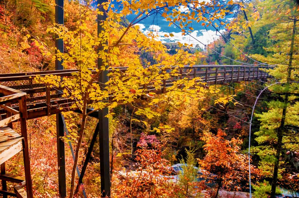 Dramatic view of Tallulah Gorge with river and rock formations