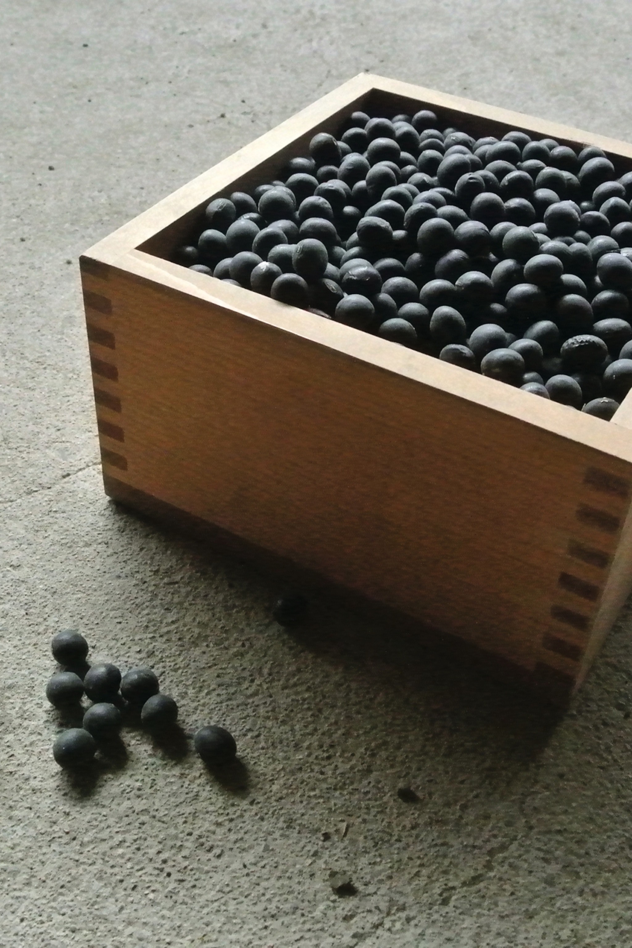 Tamba Beanfields in Hyogo Prefecture