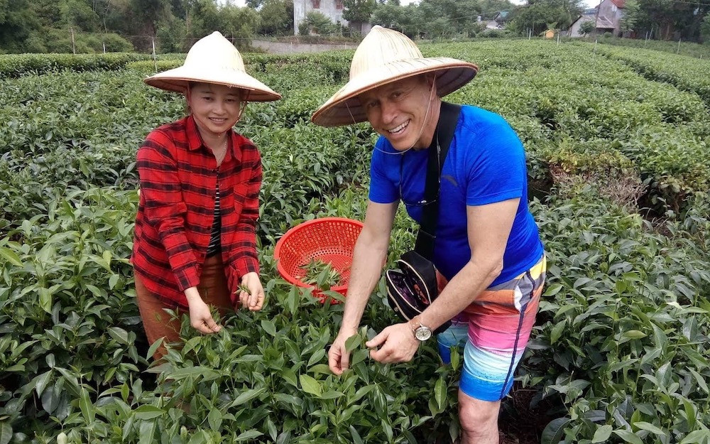 Tea Farm in Thai Nguyen, showcasing lush green tea plantations on rolling hills, inviting tourists to experience the beauty of rural Vietnam