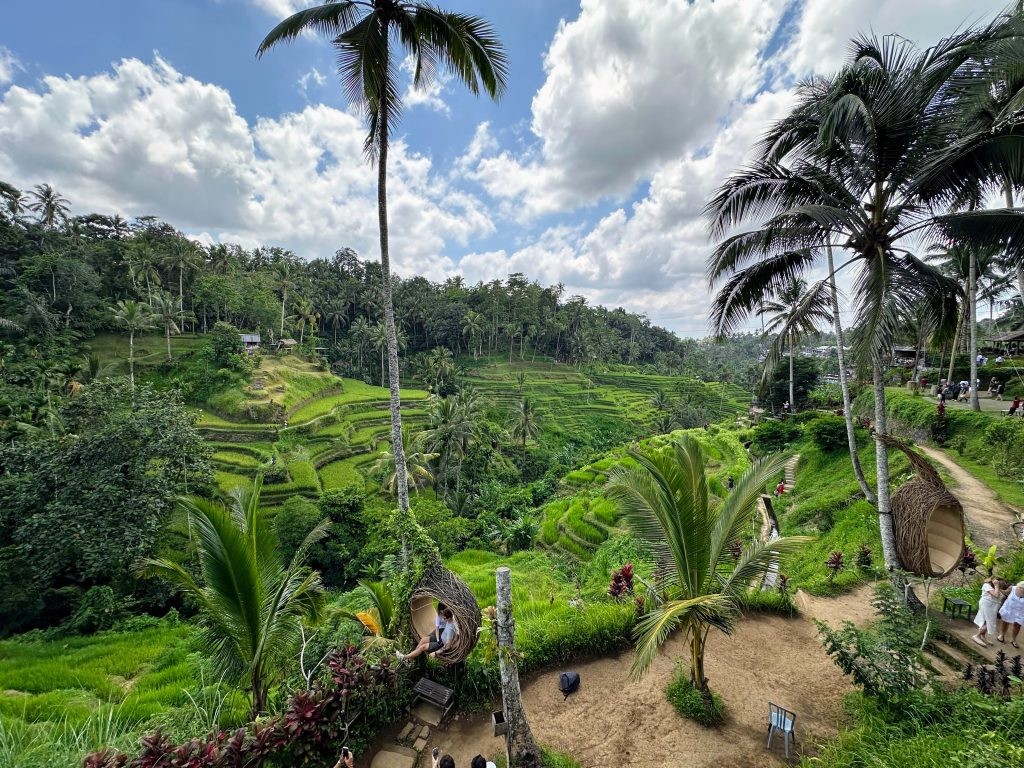 A tranquil scene of Tegalalang Rice Terraces in Bali, featuring tiered green fields and winding pathways, captured during the golden hour.