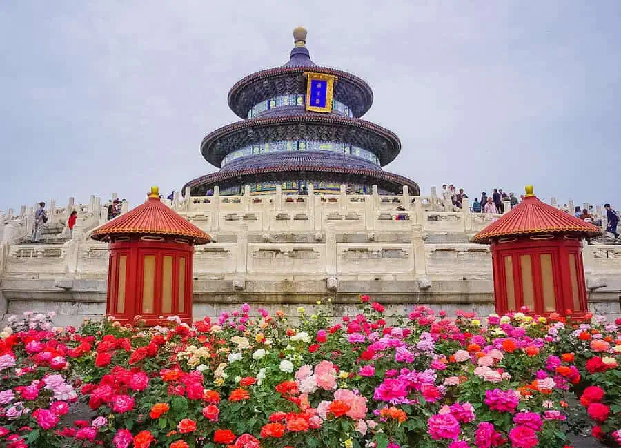 Pink and red rose bushes in front of the Temple of Heaven in Beijing, China